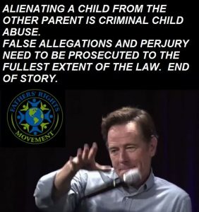 single mum, single mom, single parent, single dad, enough with the parent alienation accusations if it's not true, single mother survival guide