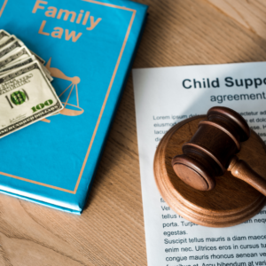 how can a divorce coach help a single mum going through court, navigate court as a single mum, Single Mothers, single mum, single mom, single mother, single parent, singlemothersurvivalguide.com, divorce coach, coach for single mums, coach for single moms