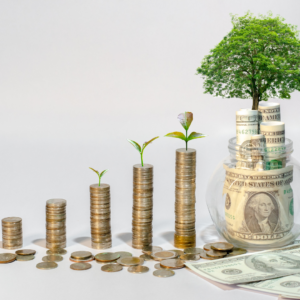 financial independence, single mom, single mother, single parent, singlemothersurvivalguide.com, divorce coach, coach for single mums, coach for single moms